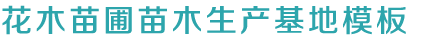 乐盈VI